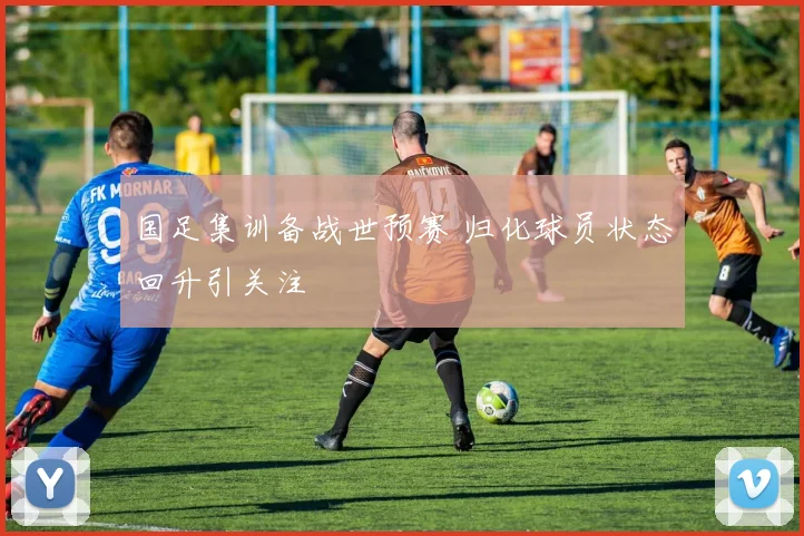 国足集训备战世预赛 归化球员状态回升引关注