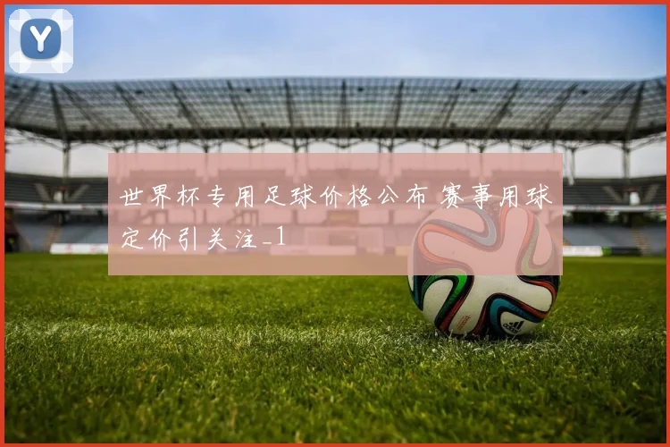 世界杯专用足球价格公布 赛事用球定价引关注_1